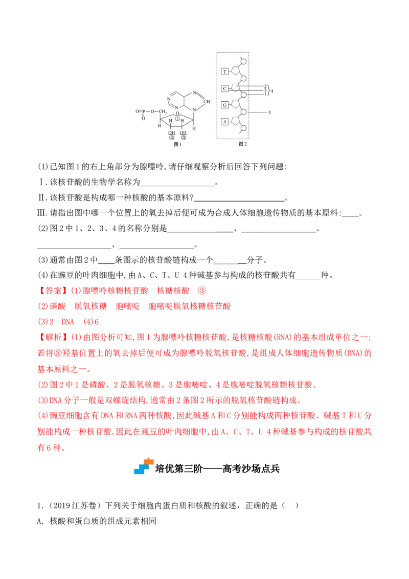 2.5核酸是遗传信息的携带者-高一生物上学期课后培优分级练（2019人教版必修1）（解析版）_高中九科知识点归纳。_人教版高中Word电子版试卷练习试题知识点全科_高中生物试卷习题_必修1