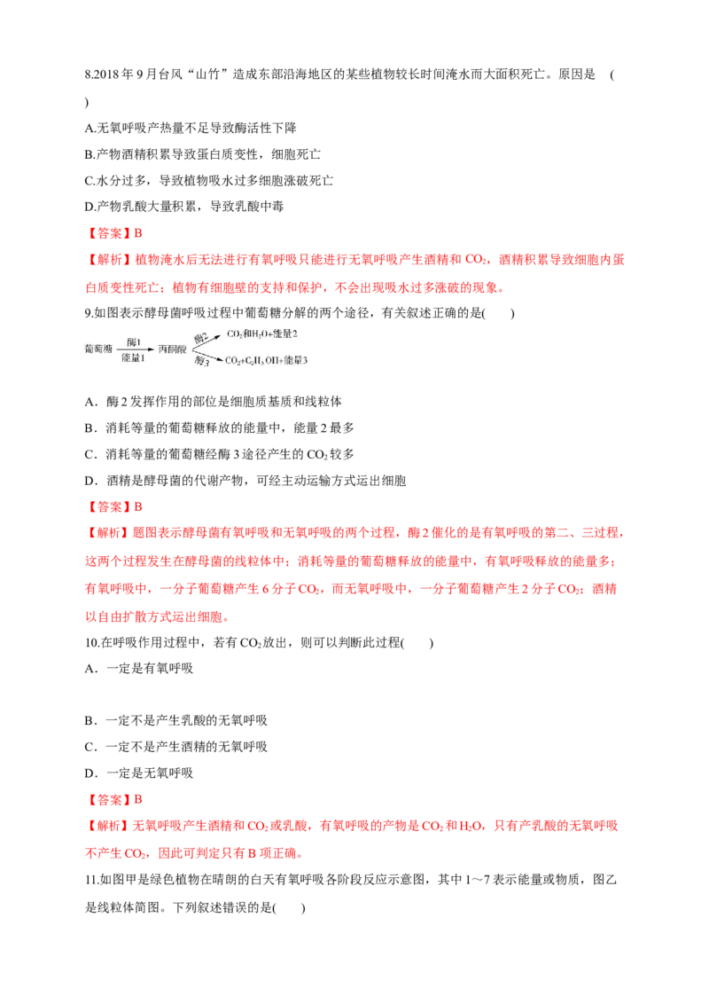 5.3细胞呼吸的原理和应用练习（1）（解析版）_高中九科知识点归纳。_人教版高中Word电子版试卷练习试题知识点全科_高中生物试卷习题_生物必修_必修1_2.同步练习（第二套）24份