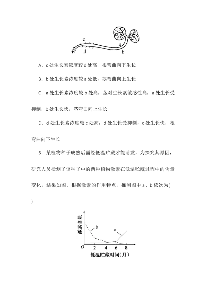 5.4环境因素参与调节植物的生命活动同步练习高二上学期生物人教版选择性必修1_高中九科知识点归纳。_人教版高中Word电子版试卷练习试题知识点全科_高中生物试卷习题_生物选修_选修1
