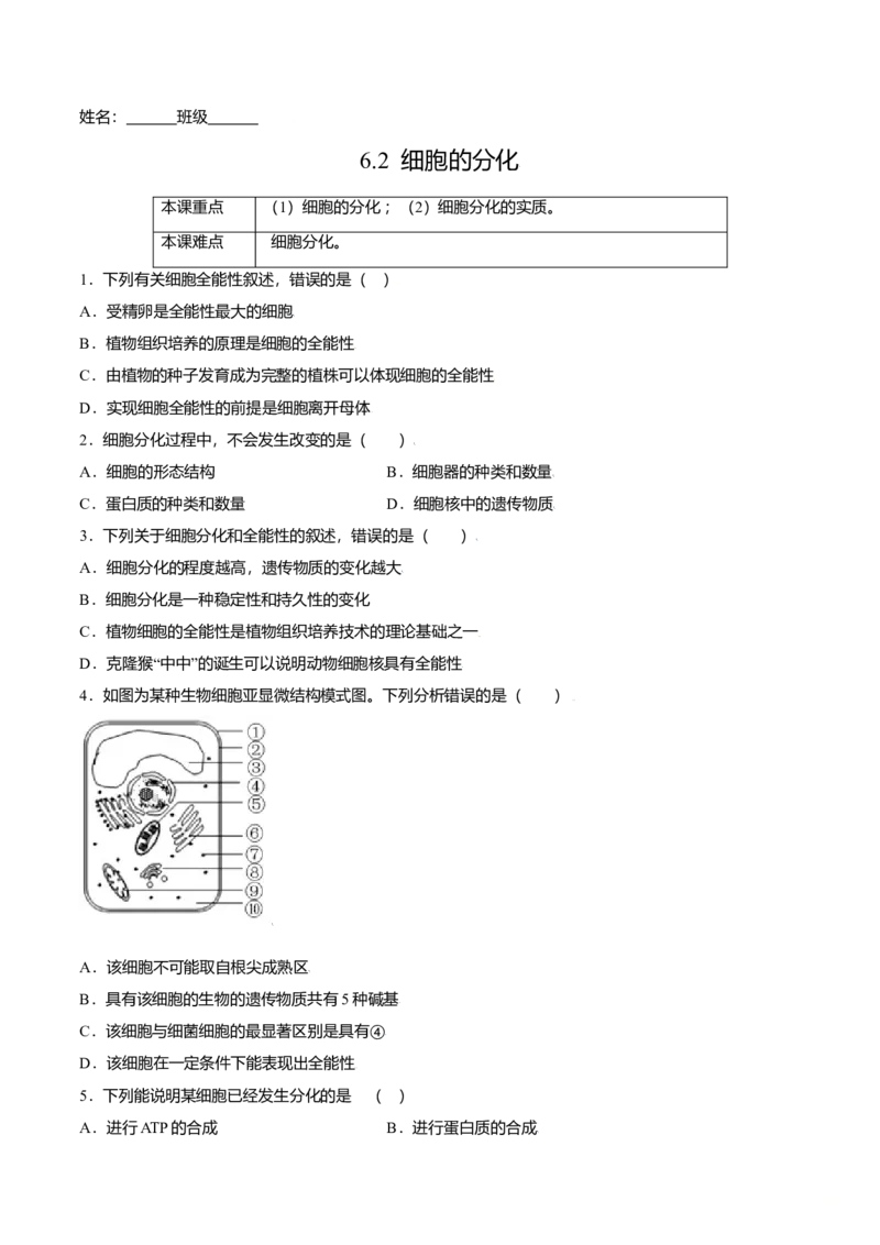 6.2细胞的分化-高一生物课后培优练（人教版2019必修1）（原卷版）_高中九科知识点归纳。_人教版高中Word电子版试卷练习试题知识点全科_高中生物试卷习题_生物必修_必修1