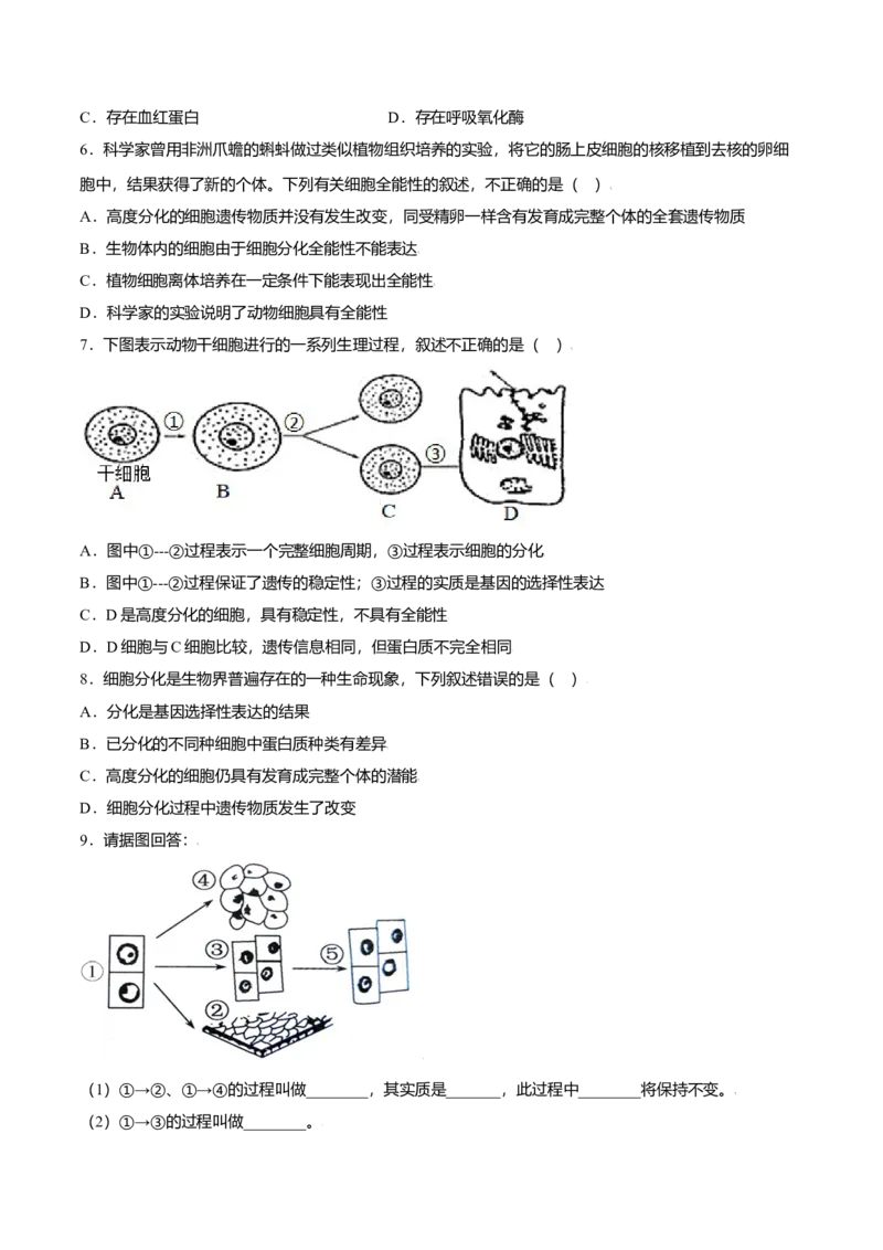 6.2细胞的分化-高一生物课后培优练（人教版2019必修1）（原卷版）_高中九科知识点归纳。_人教版高中Word电子版试卷练习试题知识点全科_高中生物试卷习题_生物必修_必修1