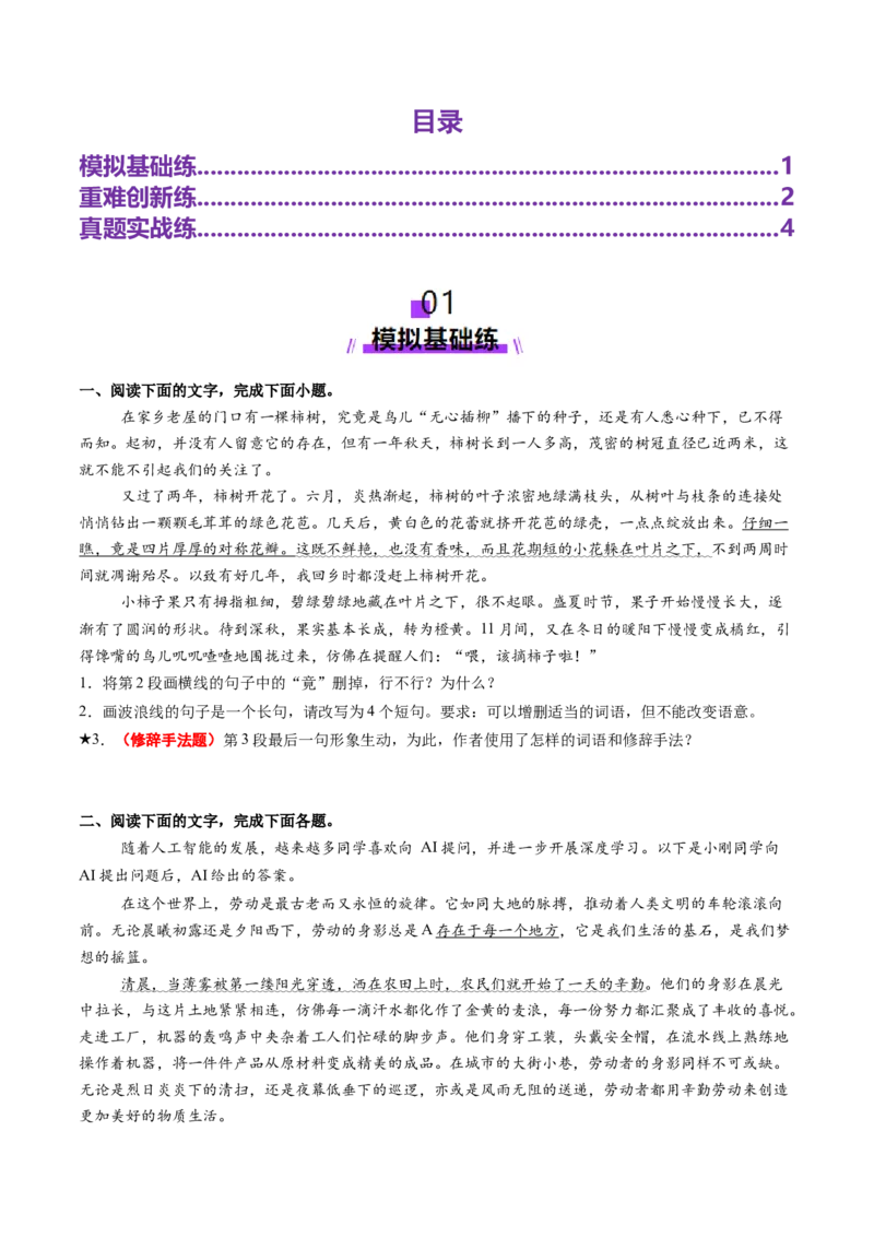 专题26修辞手法题（练习）（原卷版）_01高考语文_52025年新高考资料_二轮复习_01高考语文等多个文件_上好课2025年高考语文二轮复习讲练测（新高考通用）