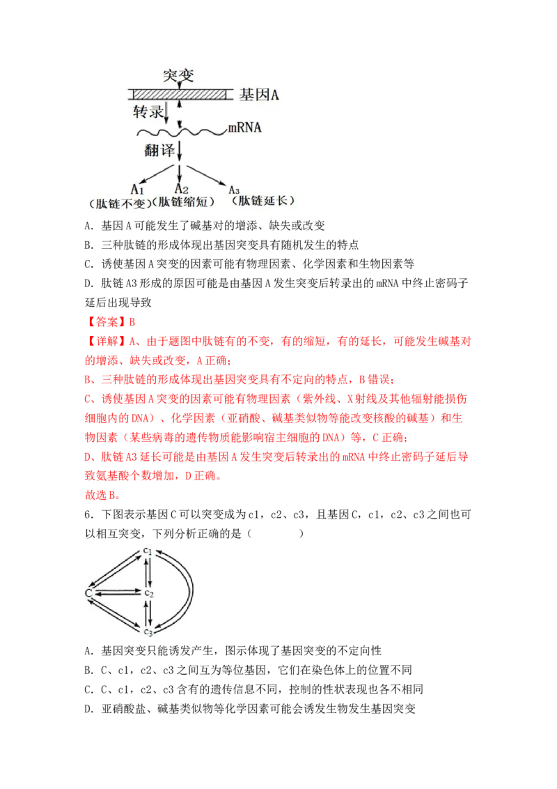 5.1基因突变及其他变异（解析版）_高中九科知识点归纳。_人教版高中Word电子版试卷练习试题知识点全科_高中生物试卷习题_生物必修_必修2_人教版生物必修二同步练习（057份）