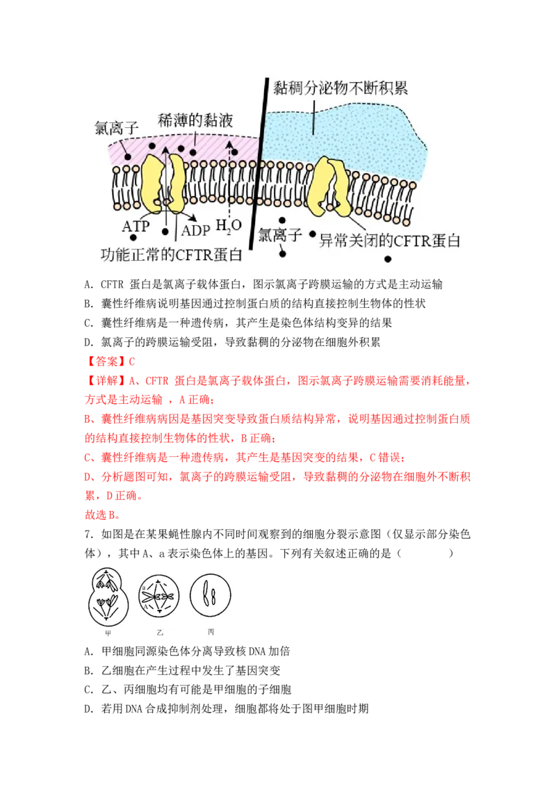 5.1基因突变及其他变异（解析版）_高中九科知识点归纳。_人教版高中Word电子版试卷练习试题知识点全科_高中生物试卷习题_生物必修_必修2_人教版生物必修二同步练习（057份）