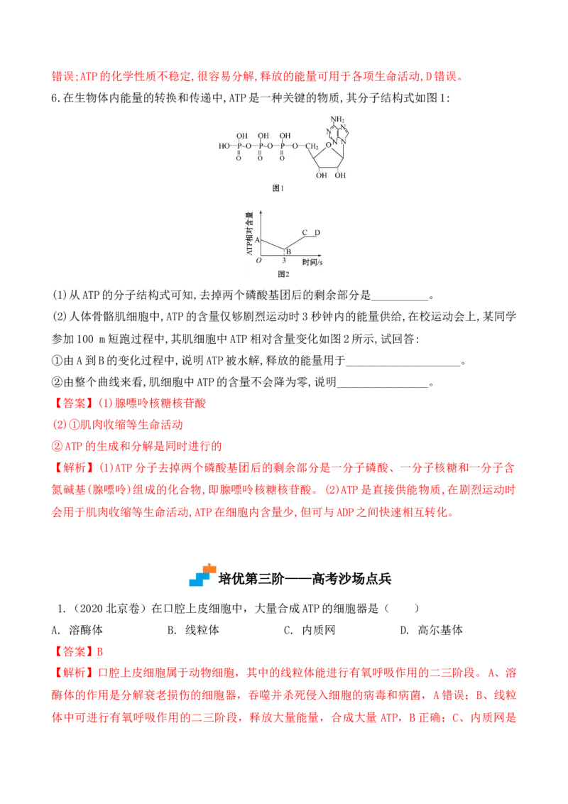 5.2细胞的能量货币&ldquo;ATP&rdquo;-高一生物上学期课后培优分级练（2019人教版必修1）（解析版）_高中九科知识点归纳。_人教版高中Word电子版试卷练习试题知识点全科_高中生物试卷习题_必修1