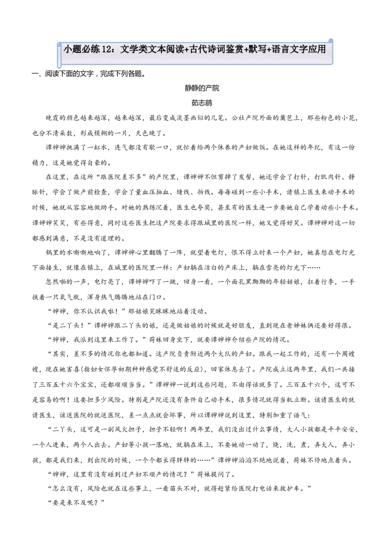 原创（新高考）2021届小题必练12文学类文本阅读+古代诗词鉴赏+默写+语言文字应用教师版_01高考语文_12021年新高考资料_2021届（新高考）高考语文小题必练