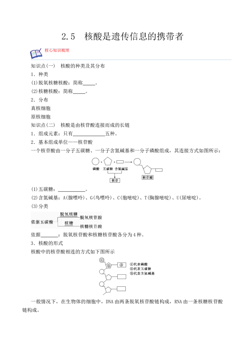 2.5核酸是遗传信息的携带者-高一生物上学期课后培优分级练（2019人教版必修1）（原卷版）_高中九科知识点归纳。_人教版高中Word电子版试卷练习试题知识点全科_高中生物试卷习题_必修1
