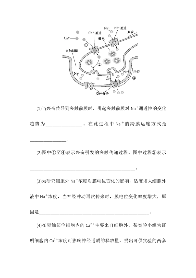 2.3神经冲动的产生和传导同步练习高二上学期生物人教版选择性必修1_高中九科知识点归纳。_人教版高中Word电子版试卷练习试题知识点全科_高中生物试卷习题_生物选修_选修1
