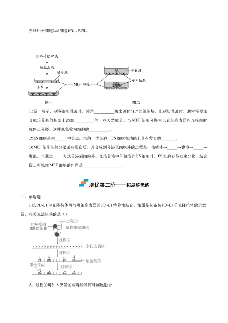 2.2动物细胞工程-高二生物课后培优分级练（人教版2019选择性必修3）（原卷版）_高中九科知识点归纳。_人教版高中Word电子版试卷练习试题知识点全科_高中生物试卷习题_生物选修_选修3
