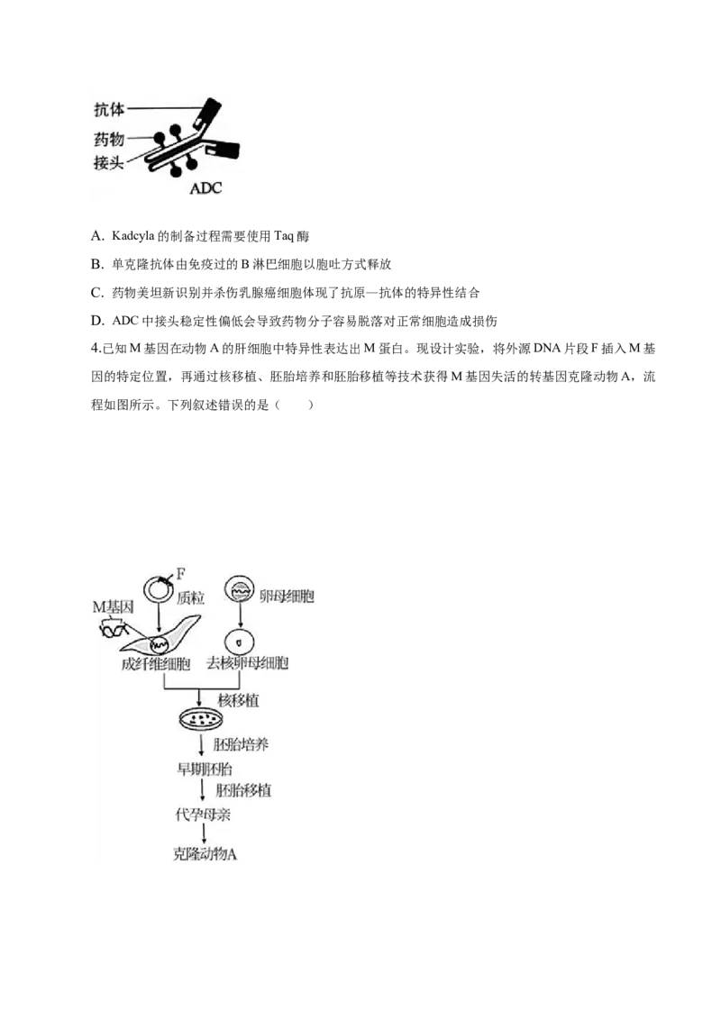 2.2动物细胞工程-高二生物课后培优分级练（人教版2019选择性必修3）（原卷版）_高中九科知识点归纳。_人教版高中Word电子版试卷练习试题知识点全科_高中生物试卷习题_生物选修_选修3