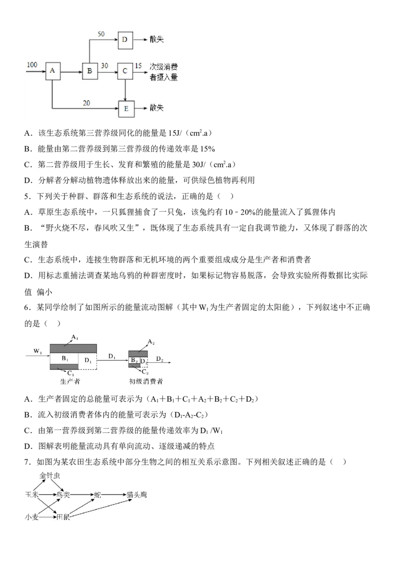 3.2生态系统的能量流动（原卷版）_高中九科知识点归纳。_人教版高中Word电子版试卷练习试题知识点全科_高中生物试卷习题_生物选修_选修2_人教版生物选修二同步练习（048份）