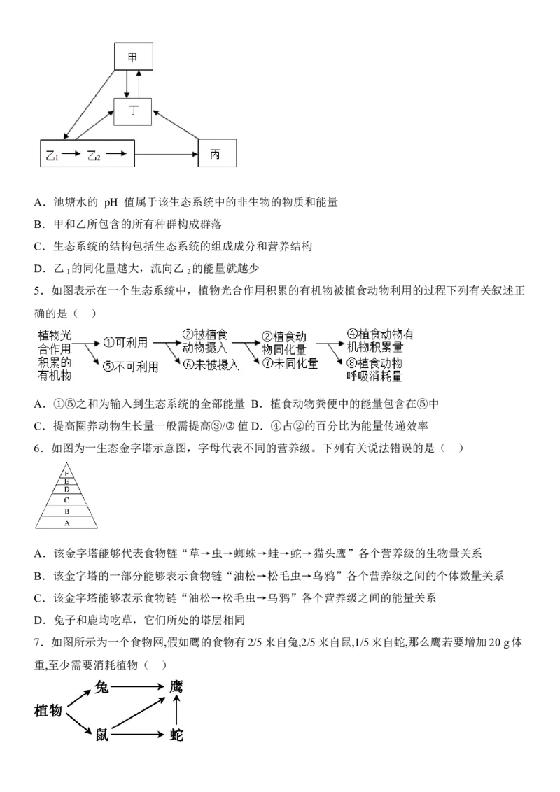 3.2生态系统的能量流动（原卷版）_高中九科知识点归纳。_人教版高中Word电子版试卷练习试题知识点全科_高中生物试卷习题_生物选修_选修2_人教版生物选修二同步练习（048份）