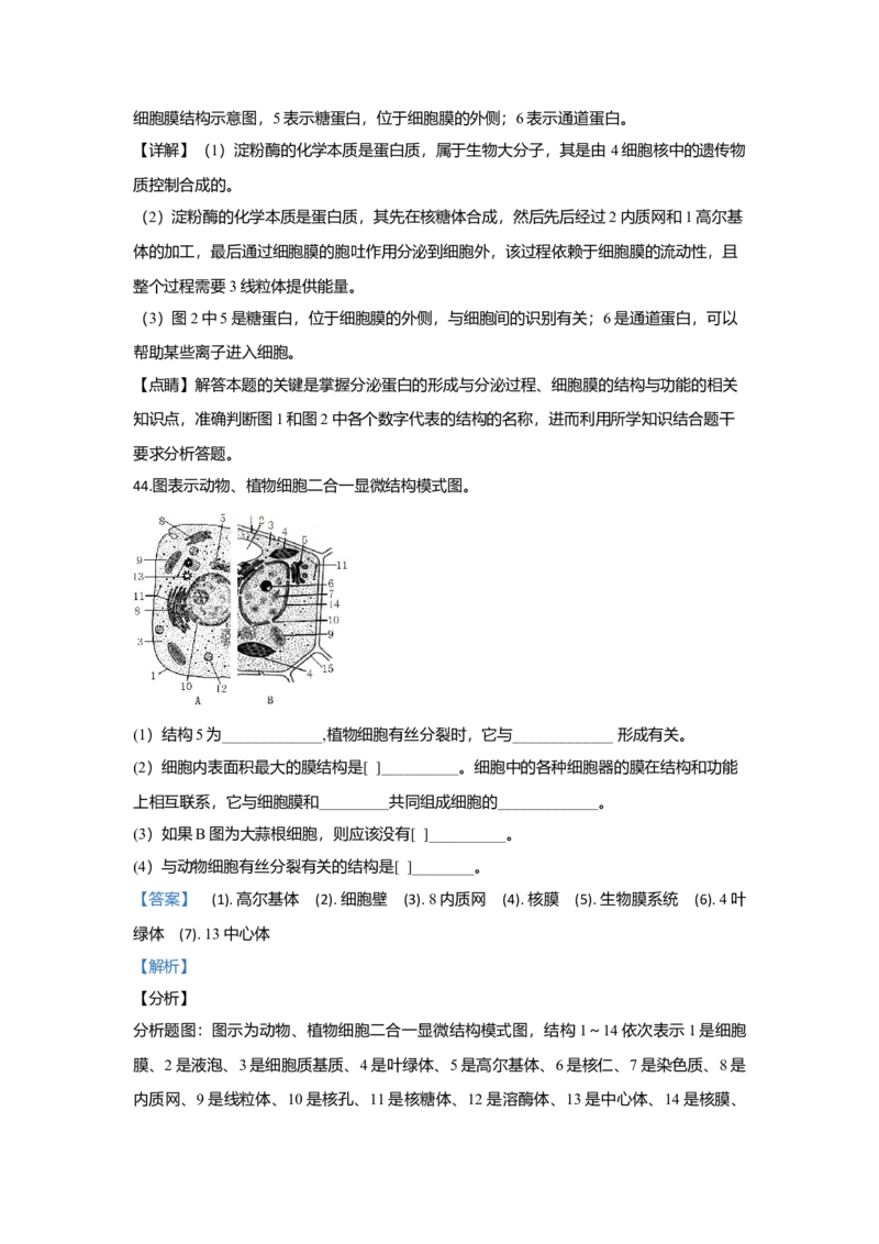 北京市八中高一上学期期中考试生物试题Word版含解析_高中九科知识点归纳。_人教版高中Word电子版试卷练习试题知识点全科_高中生物试卷习题_生物必修_必修1