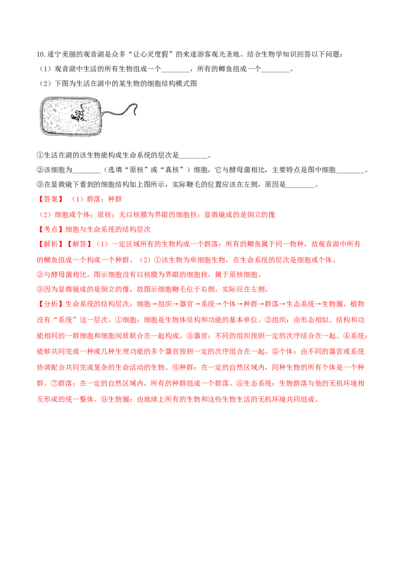 1.1细胞是生命活动的基本单位-高一生物课后培优练（人教版2019必修1）（解析版）_高中九科知识点归纳。_人教版高中Word电子版试卷练习试题知识点全科_高中生物试卷习题_生物必修_必修1