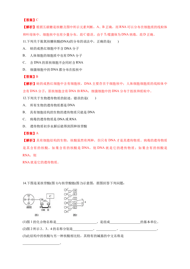 2.5核酸是遗传信息的携带者练习（1）（解析版）_高中九科知识点归纳。_人教版高中Word电子版试卷练习试题知识点全科_高中生物试卷习题_生物必修_必修1_2.同步练习（第二套）24份