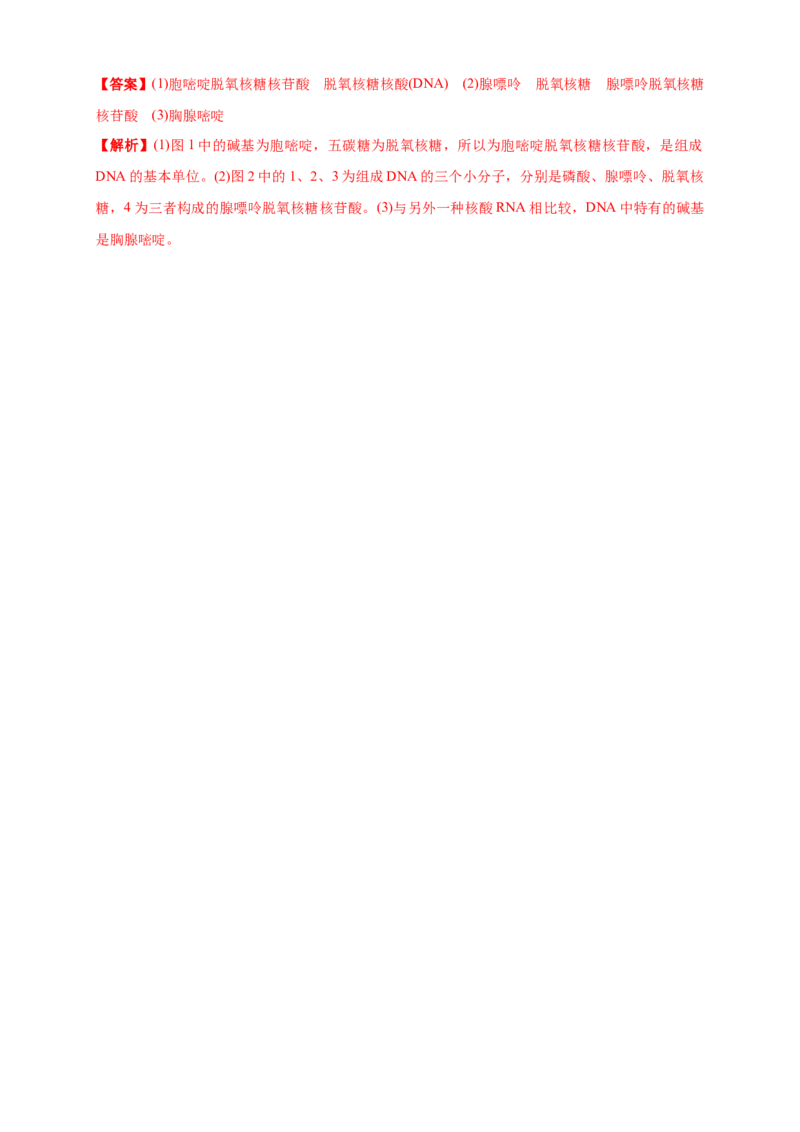 2.5核酸是遗传信息的携带者练习（1）（解析版）_高中九科知识点归纳。_人教版高中Word电子版试卷练习试题知识点全科_高中生物试卷习题_生物必修_必修1_2.同步练习（第二套）24份