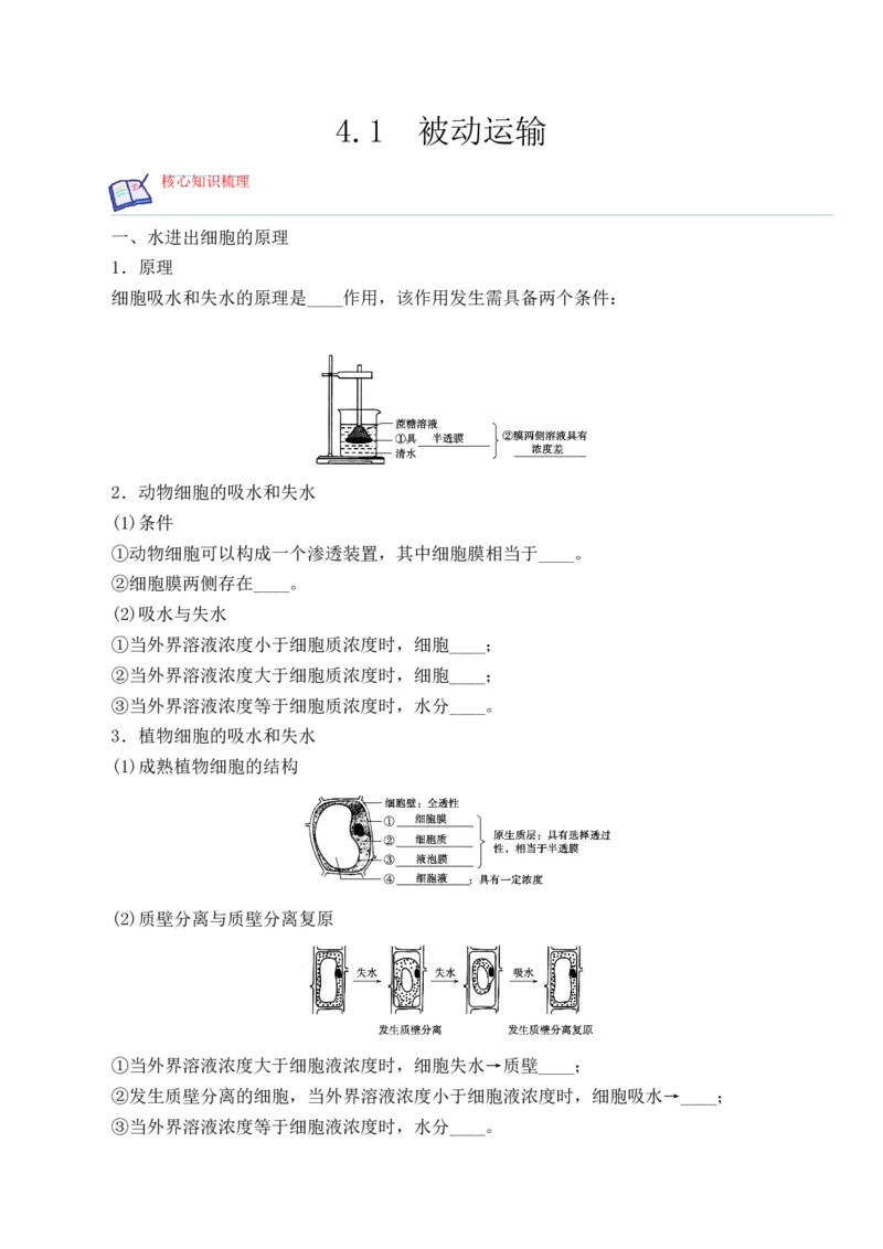 4.1被动运输-高一生物上学期课后培优分级练（2019人教版必修1）（原卷版）_高中九科知识点归纳。_人教版高中Word电子版试卷练习试题知识点全科_高中生物试卷习题_生物必修_必修1