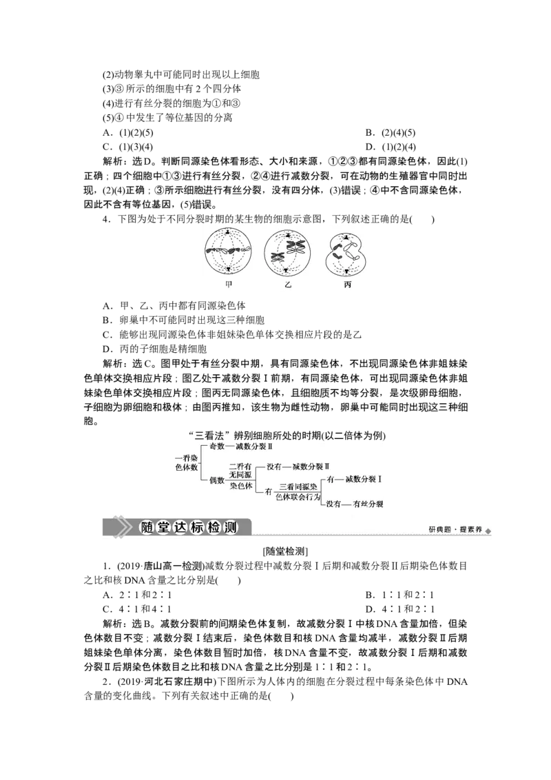 《第1节减数分裂和受精作用》课时练习01_高中九科知识点归纳。_人教版高中Word电子版试卷练习试题知识点全科_高中生物试卷习题_生物必修_必修2_人教版生物必修二单元测试（012份）