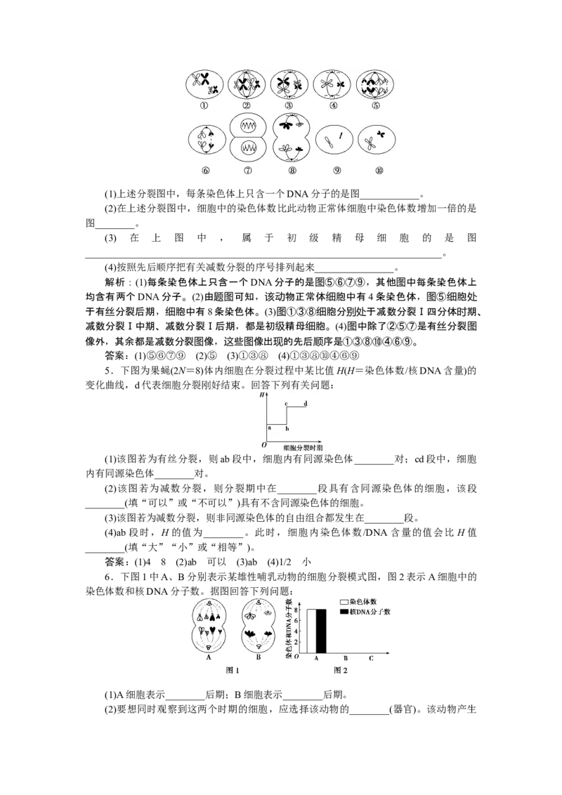 《第1节减数分裂和受精作用》课时练习01_高中九科知识点归纳。_人教版高中Word电子版试卷练习试题知识点全科_高中生物试卷习题_生物必修_必修2_人教版生物必修二单元测试（012份）