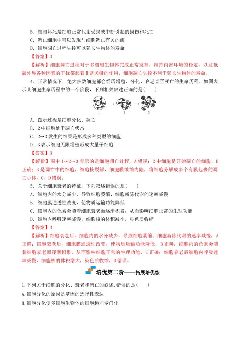 6.3细胞的衰老和死亡-高一生物上学期课后培优分级练（2019人教版必修1）（解析版）_高中九科知识点归纳。_人教版高中Word电子版试卷练习试题知识点全科_高中生物试卷习题_生物必修
