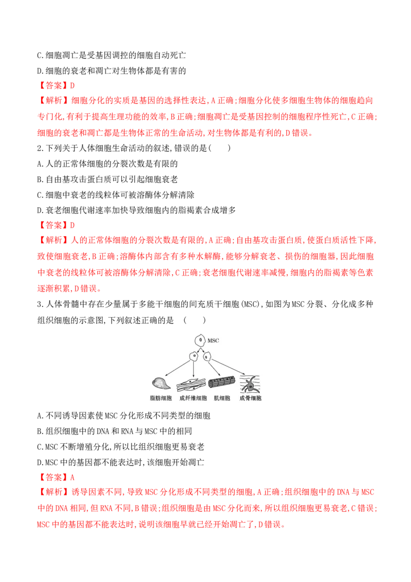 6.3细胞的衰老和死亡-高一生物上学期课后培优分级练（2019人教版必修1）（解析版）_高中九科知识点归纳。_人教版高中Word电子版试卷练习试题知识点全科_高中生物试卷习题_生物必修