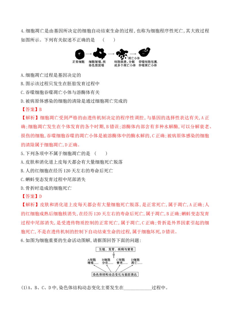 6.3细胞的衰老和死亡-高一生物上学期课后培优分级练（2019人教版必修1）（解析版）_高中九科知识点归纳。_人教版高中Word电子版试卷练习试题知识点全科_高中生物试卷习题_生物必修