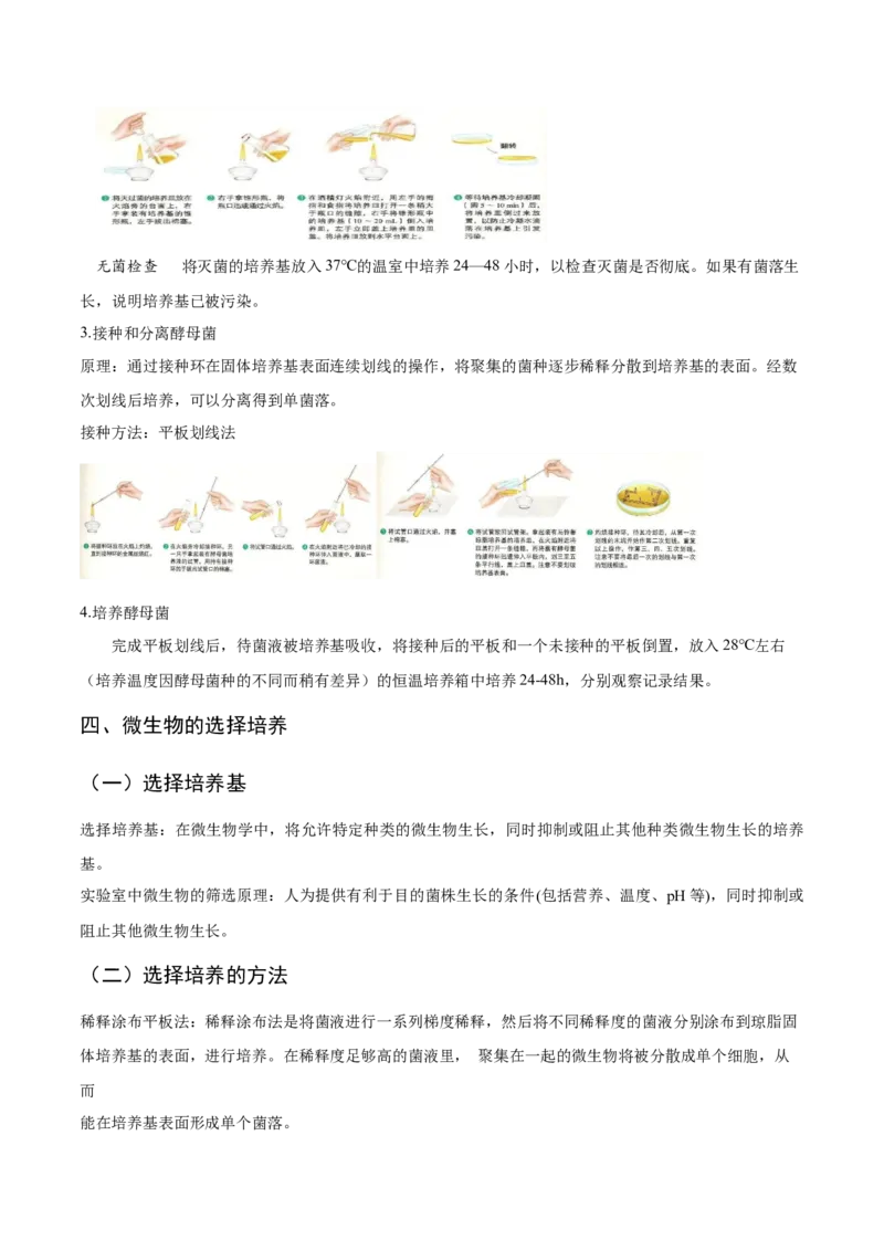 1.2微生物的培养技术和应用-高二生物课后培优分级练（人教版2019选择性必修3）（解析版）_高中九科知识点归纳。_人教版高中Word电子版试卷练习试题知识点全科_高中生物试卷习题_选修3