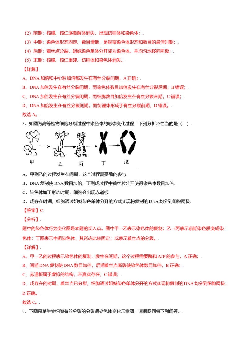 6.1细胞的增殖-高一生物课后培优练（人教版2019必修1）（解析版）_高中九科知识点归纳。_人教版高中Word电子版试卷练习试题知识点全科_高中生物试卷习题_生物必修_必修1