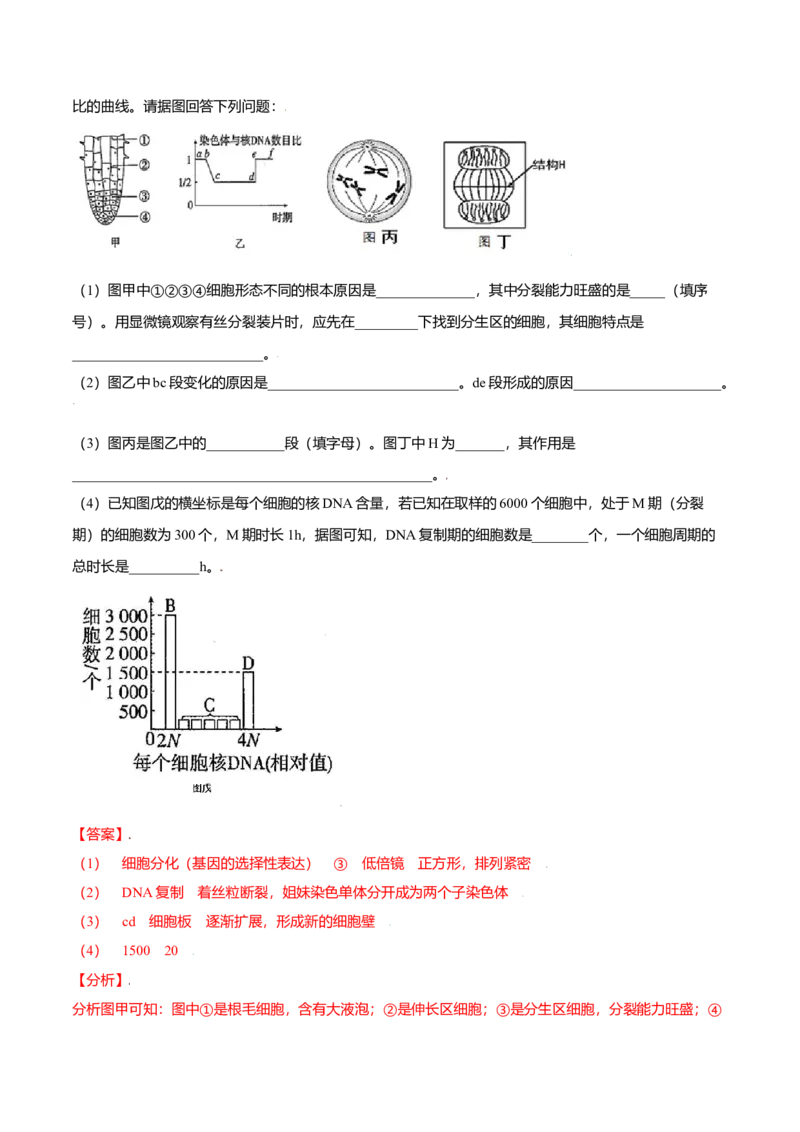 6.1细胞的增殖-高一生物课后培优练（人教版2019必修1）（解析版）_高中九科知识点归纳。_人教版高中Word电子版试卷练习试题知识点全科_高中生物试卷习题_生物必修_必修1