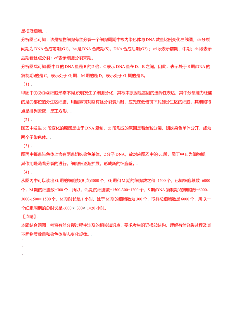 6.1细胞的增殖-高一生物课后培优练（人教版2019必修1）（解析版）_高中九科知识点归纳。_人教版高中Word电子版试卷练习试题知识点全科_高中生物试卷习题_生物必修_必修1