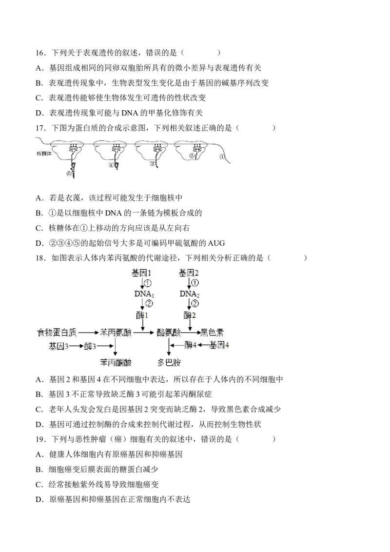 5月份检测卷01（基础练）（考试范围：第1~5章第2节）（原卷版）_高中九科知识点归纳。_人教版高中Word电子版试卷练习试题知识点全科_高中生物试卷习题_生物必修_必修2_2、课后培优练