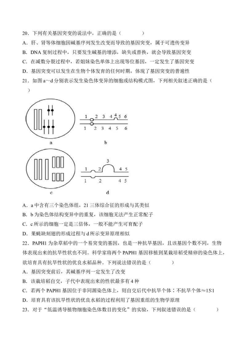 5月份检测卷01（基础练）（考试范围：第1~5章第2节）（原卷版）_高中九科知识点归纳。_人教版高中Word电子版试卷练习试题知识点全科_高中生物试卷习题_生物必修_必修2_2、课后培优练