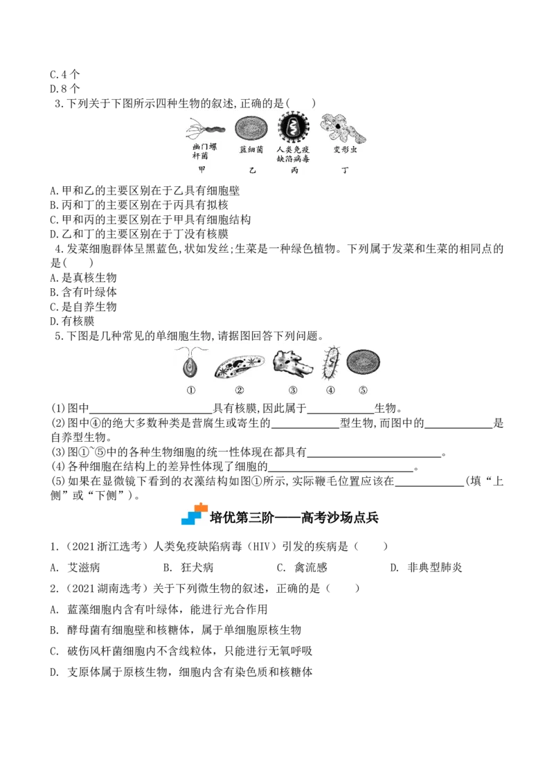 1.2细胞的多样性和统一性-高一生物上学期课后培优分级练（2019人教版必修1）（原卷版）_高中九科知识点归纳。_人教版高中Word电子版试卷练习试题知识点全科_高中生物试卷习题_必修1