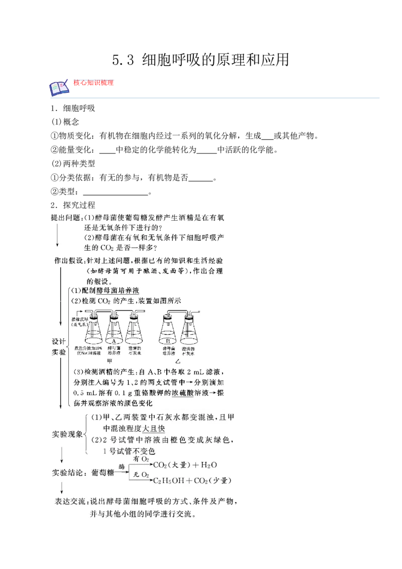 5.3细胞呼吸的原理和应用-高一生物上学期课后培优分级练（2019人教版必修1）（原卷版）_高中九科知识点归纳。_人教版高中Word电子版试卷练习试题知识点全科_高中生物试卷习题_必修1