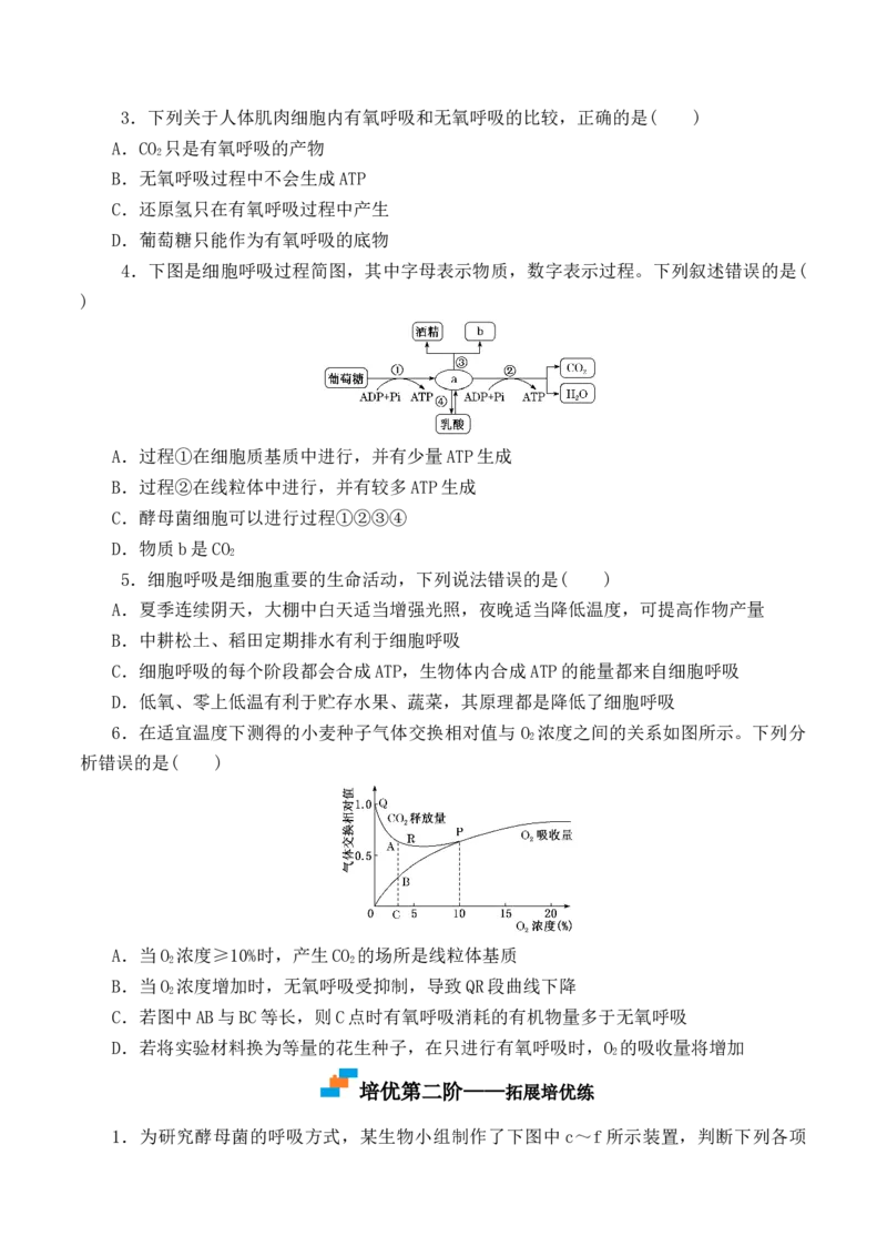 5.3细胞呼吸的原理和应用-高一生物上学期课后培优分级练（2019人教版必修1）（原卷版）_高中九科知识点归纳。_人教版高中Word电子版试卷练习试题知识点全科_高中生物试卷习题_必修1