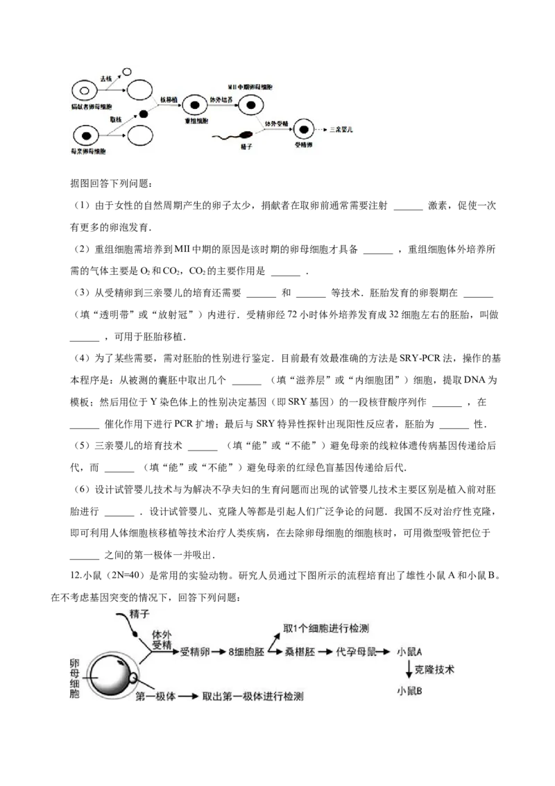 2.3胚胎工程-高二生物课后培优分级练（人教版2019选择性必修3）（原卷版）_高中九科知识点归纳。_人教版高中Word电子版试卷练习试题知识点全科_高中生物试卷习题_生物选修_选修3