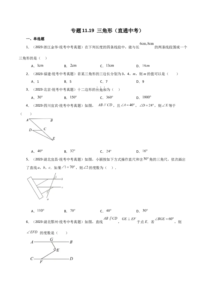专题11.19三角形（直通中考）-（人教版）_初中数学_八年级数学上册（人教版）_专题突破练习-V4_2024版