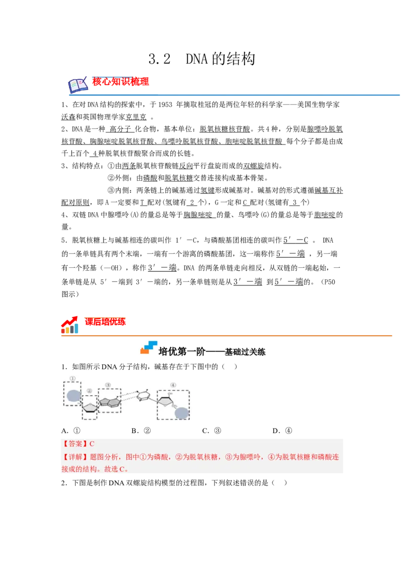 3.2DNA的结构（解析版）_高中九科知识点归纳。_人教版高中Word电子版试卷练习试题知识点全科_高中生物试卷习题_生物必修_必修2_人教版生物必修二同步练习（057份）_2、课后培优练