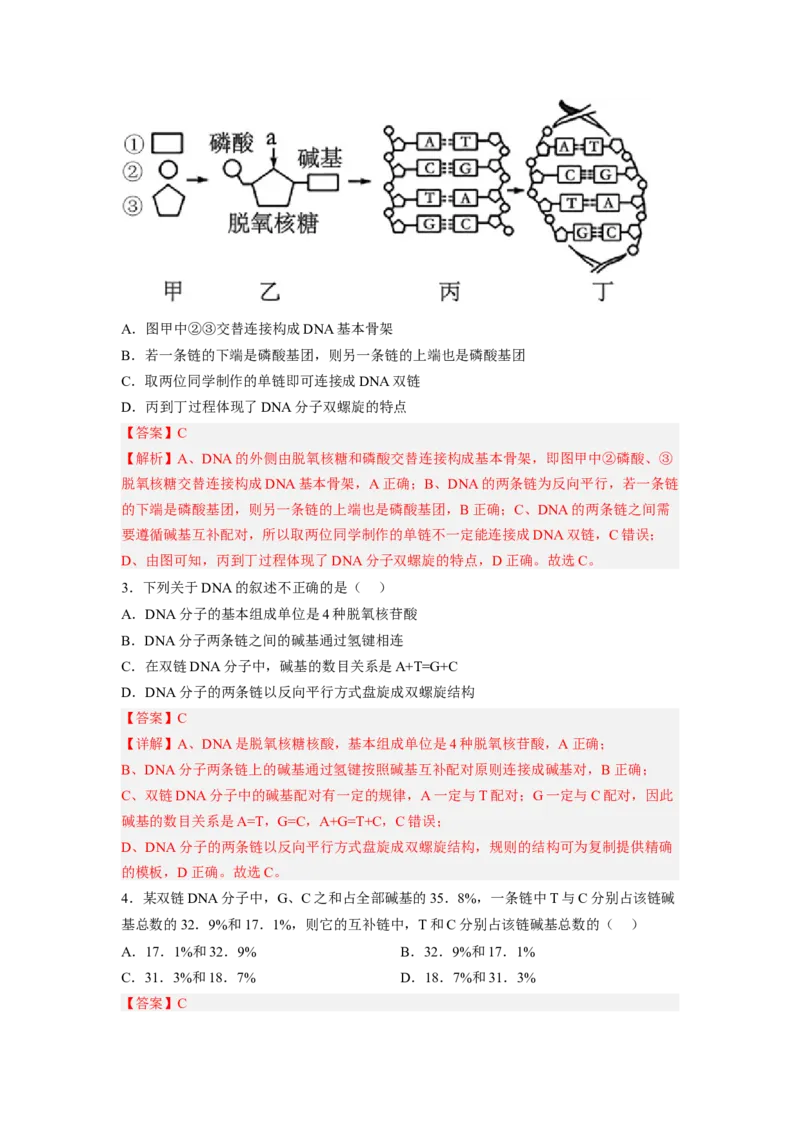 3.2DNA的结构（解析版）_高中九科知识点归纳。_人教版高中Word电子版试卷练习试题知识点全科_高中生物试卷习题_生物必修_必修2_人教版生物必修二同步练习（057份）_2、课后培优练