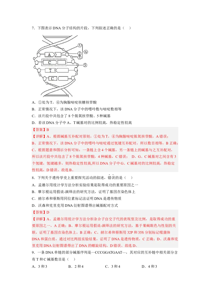 3.2DNA的结构（解析版）_高中九科知识点归纳。_人教版高中Word电子版试卷练习试题知识点全科_高中生物试卷习题_生物必修_必修2_人教版生物必修二同步练习（057份）_2、课后培优练