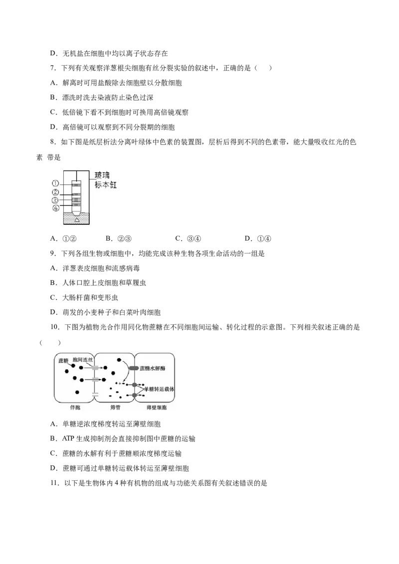 人教版必修1期末（A卷基础过关检测）-高考生物一轮复习单元滚动双测卷（新高考地区专用）（原卷版）_高中九科知识点归纳。_人教版高中Word电子版试卷练习试题知识点全科_生物必修
