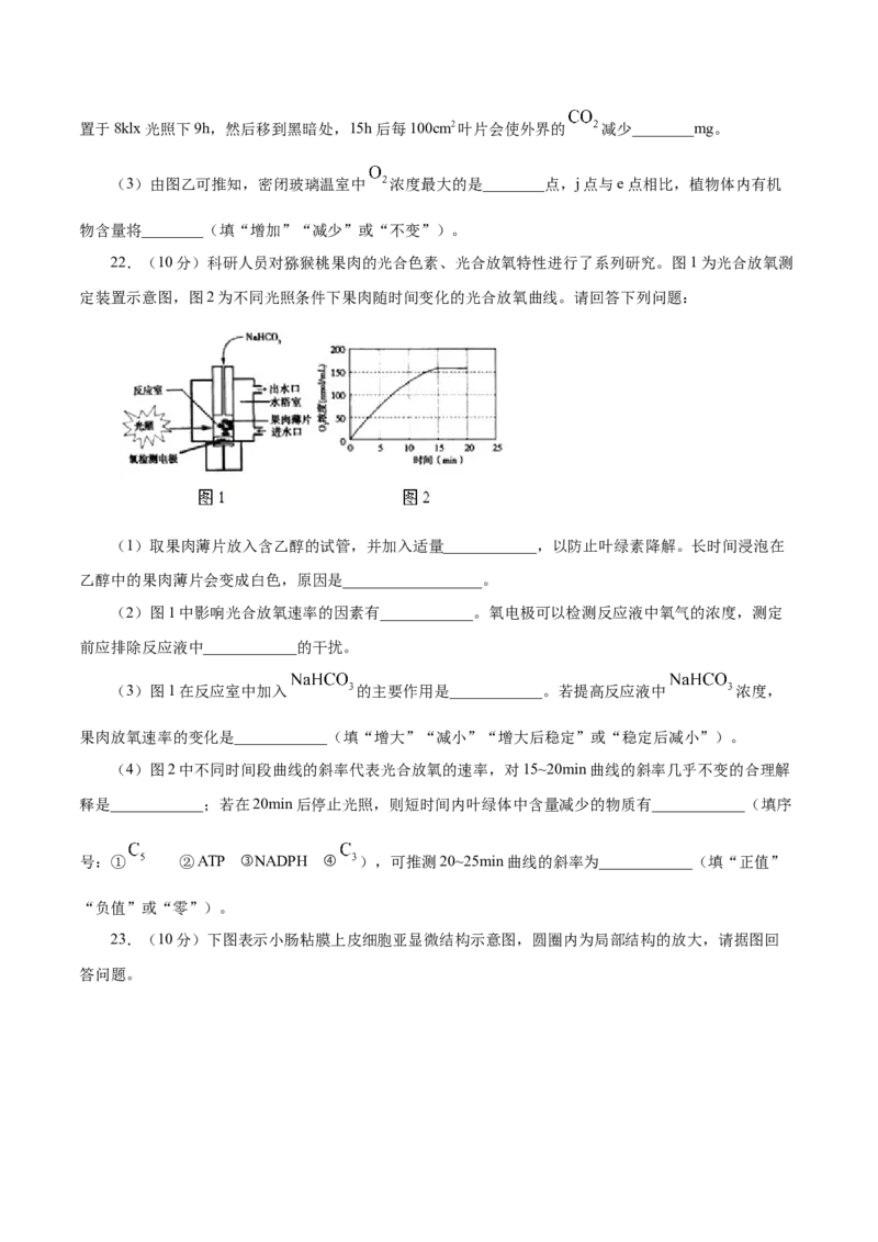 人教版必修1期末（A卷基础过关检测）-高考生物一轮复习单元滚动双测卷（新高考地区专用）（原卷版）_高中九科知识点归纳。_人教版高中Word电子版试卷练习试题知识点全科_生物必修