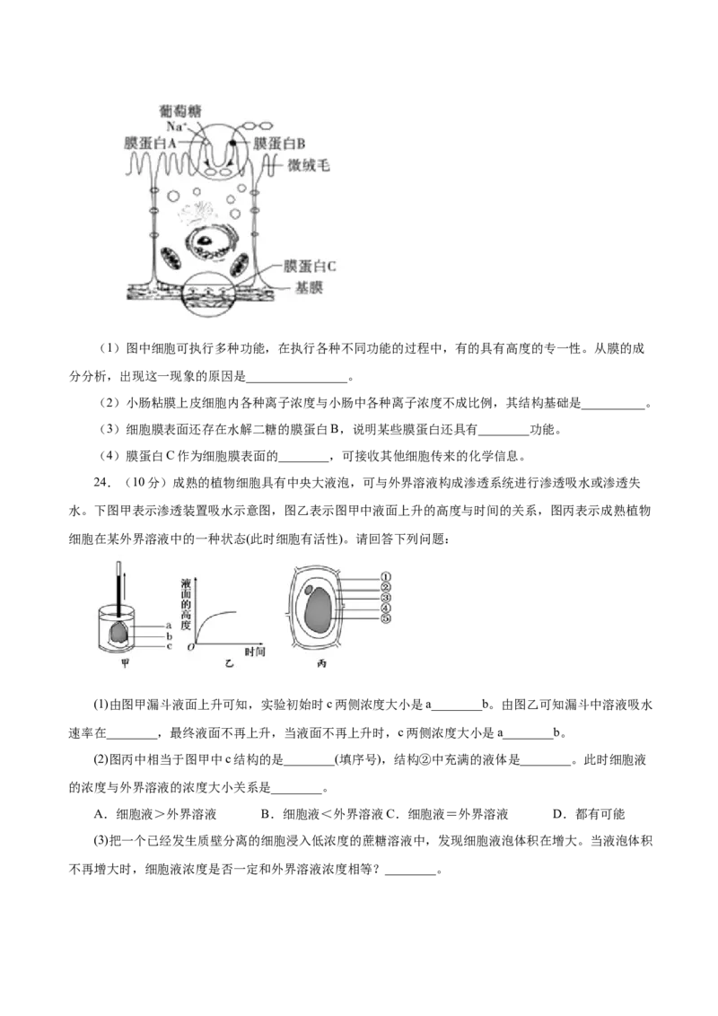 人教版必修1期末（A卷基础过关检测）-高考生物一轮复习单元滚动双测卷（新高考地区专用）（原卷版）_高中九科知识点归纳。_人教版高中Word电子版试卷练习试题知识点全科_生物必修