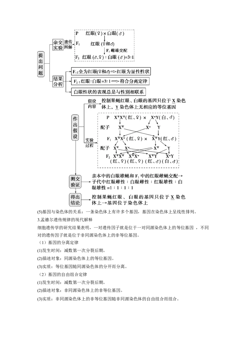 2.2基因在染色体上（原卷版）_高中九科知识点归纳。_人教版高中Word电子版试卷练习试题知识点全科_高中生物试卷习题_生物必修_必修2_人教版生物必修二同步练习（057份）