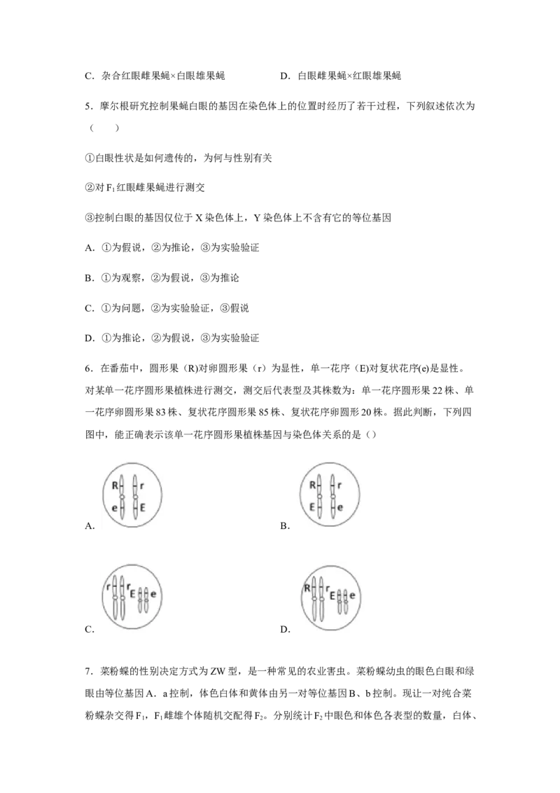 2.2基因在染色体上（原卷版）_高中九科知识点归纳。_人教版高中Word电子版试卷练习试题知识点全科_高中生物试卷习题_生物必修_必修2_人教版生物必修二同步练习（057份）