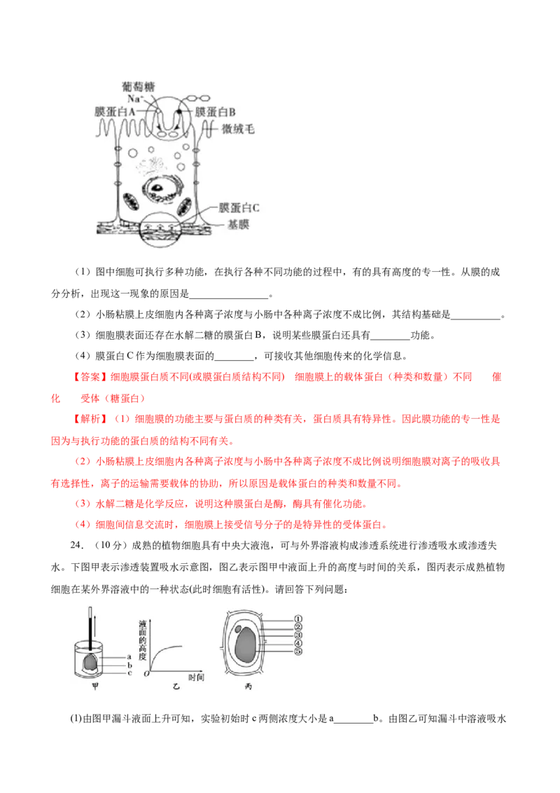 人教版必修1期末（A卷基础过关检测）-高考生物一轮复习单元滚动双测卷（新高考地区专用）（解析版）_高中九科知识点归纳。_人教版高中Word电子版试卷练习试题知识点全科_生物必修