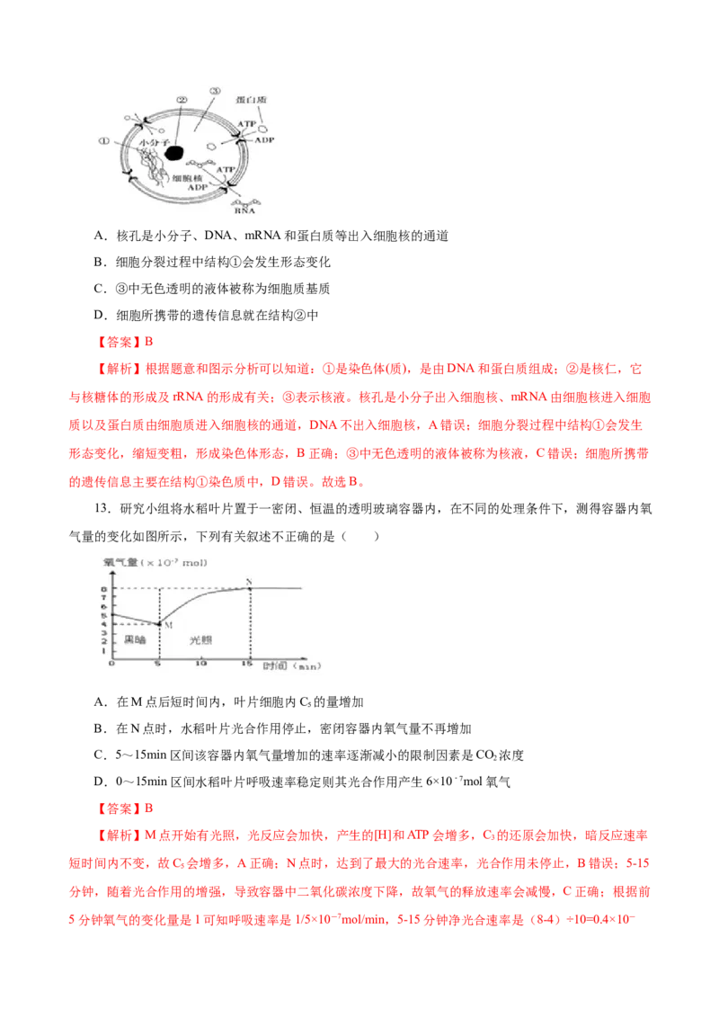 人教版必修1期末（A卷基础过关检测）-高考生物一轮复习单元滚动双测卷（新高考地区专用）（解析版）_高中九科知识点归纳。_人教版高中Word电子版试卷练习试题知识点全科_生物必修