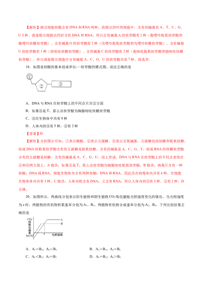 人教版必修1期末（A卷基础过关检测）-高考生物一轮复习单元滚动双测卷（新高考地区专用）（解析版）_高中九科知识点归纳。_人教版高中Word电子版试卷练习试题知识点全科_生物必修