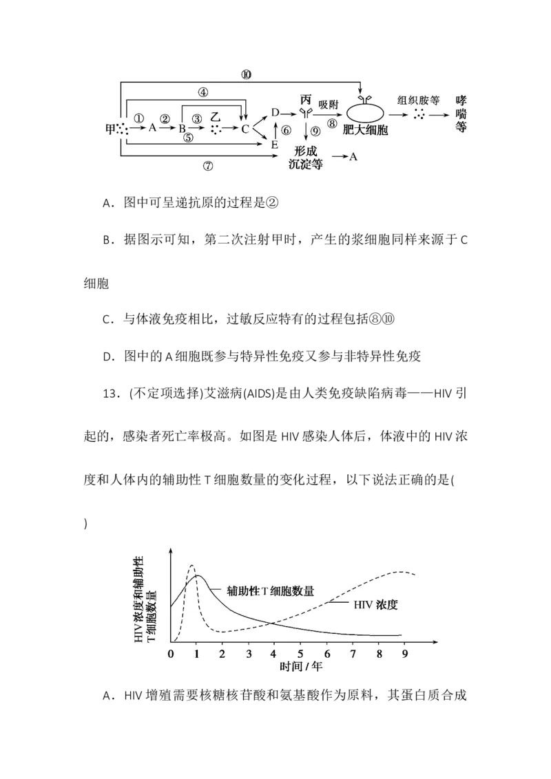 4.3免疫失调同步练习高二上学期生物人教版选择性必修1_高中九科知识点归纳。_人教版高中Word电子版试卷练习试题知识点全科_高中生物试卷习题_生物选修_选修1_1.同步练习第一套