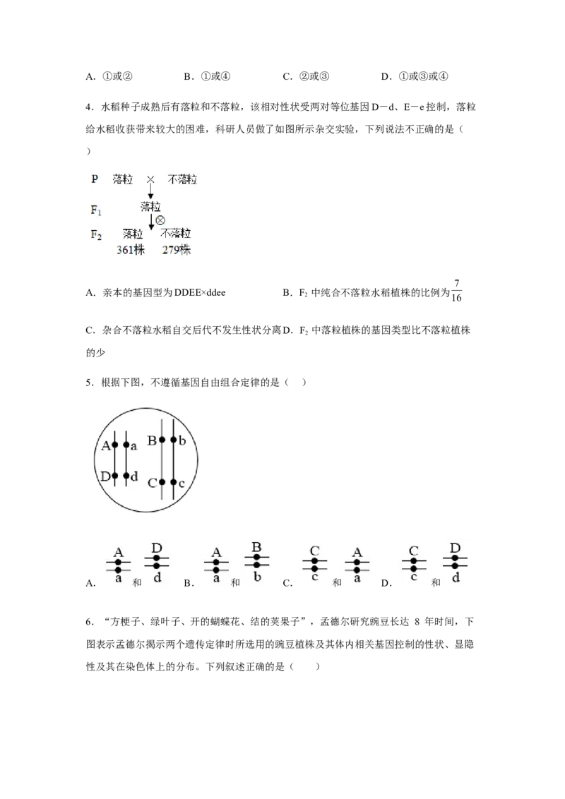 1.2孟德尔的豌豆杂交实验（二）（原卷版）_高中九科知识点归纳。_人教版高中Word电子版试卷练习试题知识点全科_高中生物试卷习题_生物必修_必修2_2、课后培优练